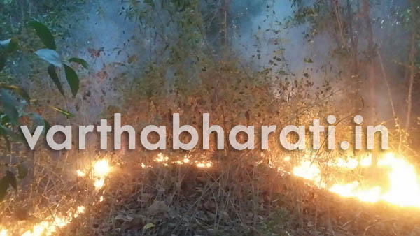 ಕಡ್ಲೆಕೆರೆ ನಿಸರ್ಗಧಾಮಕ್ಕೆ ಬೆಂಕಿ